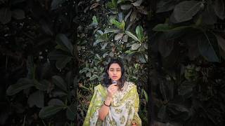 Hidden Cameras In Changing Rooms?