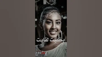 من اغاني المبدع ابراهيم ادريس فنان ومبدع العرب الاول من ابناء اولاد وافي في غرب السودان 