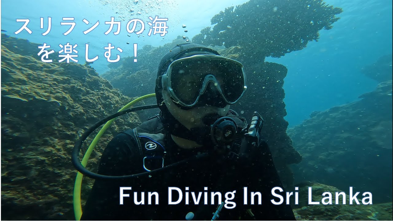 ADR Diving Sri Lanka Diving スリランカダイビング 2022 トリンコマリー YouTube