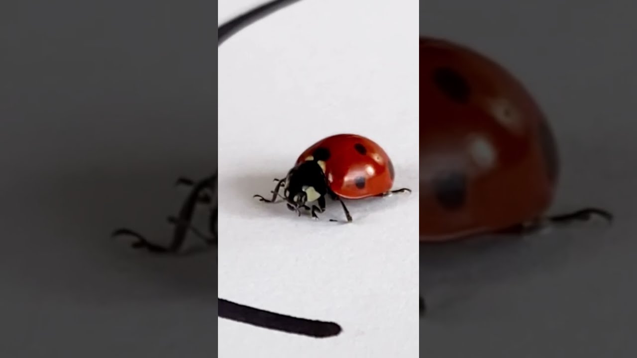 This Is An Incredible Experiment And It Works Shorts By ArtioMix