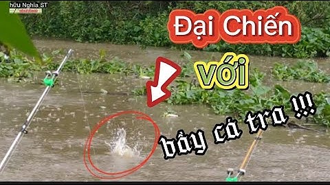 CÂU CÁ TRA SÔNG II 💢tiếp tục chiến đấu với bầy cá tra sông ✅
