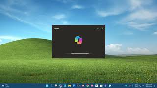 Windows 11 Microsoft pauses release of ask copilot when clicking on search