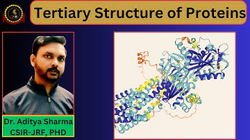 Tertiary Structure of Proteins For CSIR-NET 2023#csirnet#msc#icmr#protein structure #biomolecules