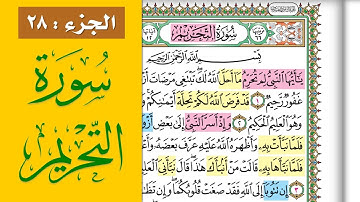 سورة التحريم || احفظها بسهولة مع القارئ ياسر سلامة (مصحف الحفظ الميسر) At-Tahrim