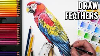 How To Draw Feathers With Watercolour Pencils