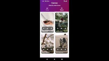 Transform Your Phone! ✨ Stunning Wallpapers & Live Videos with Flutter & Pexels API