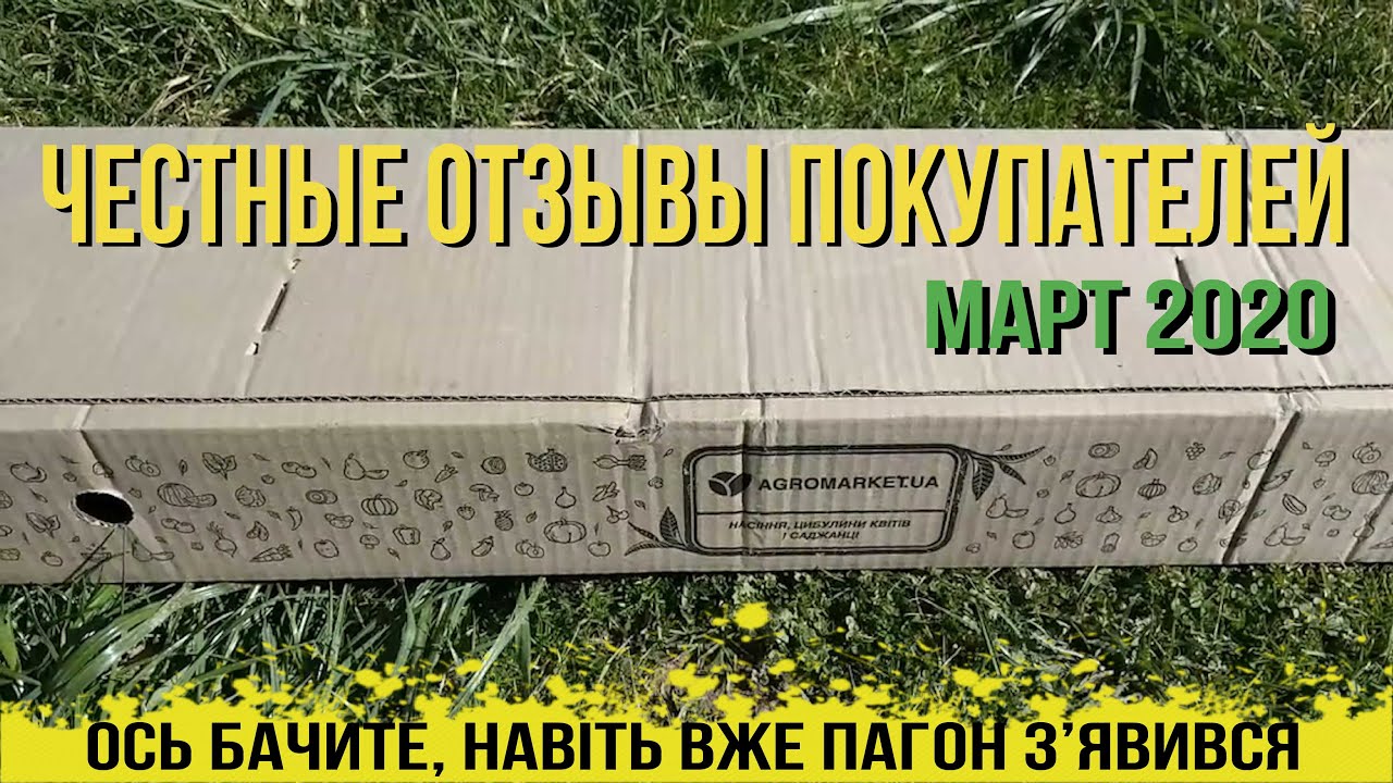 Агромаркет Интернет Магазин Посадочных Материалов Тула Отзывы