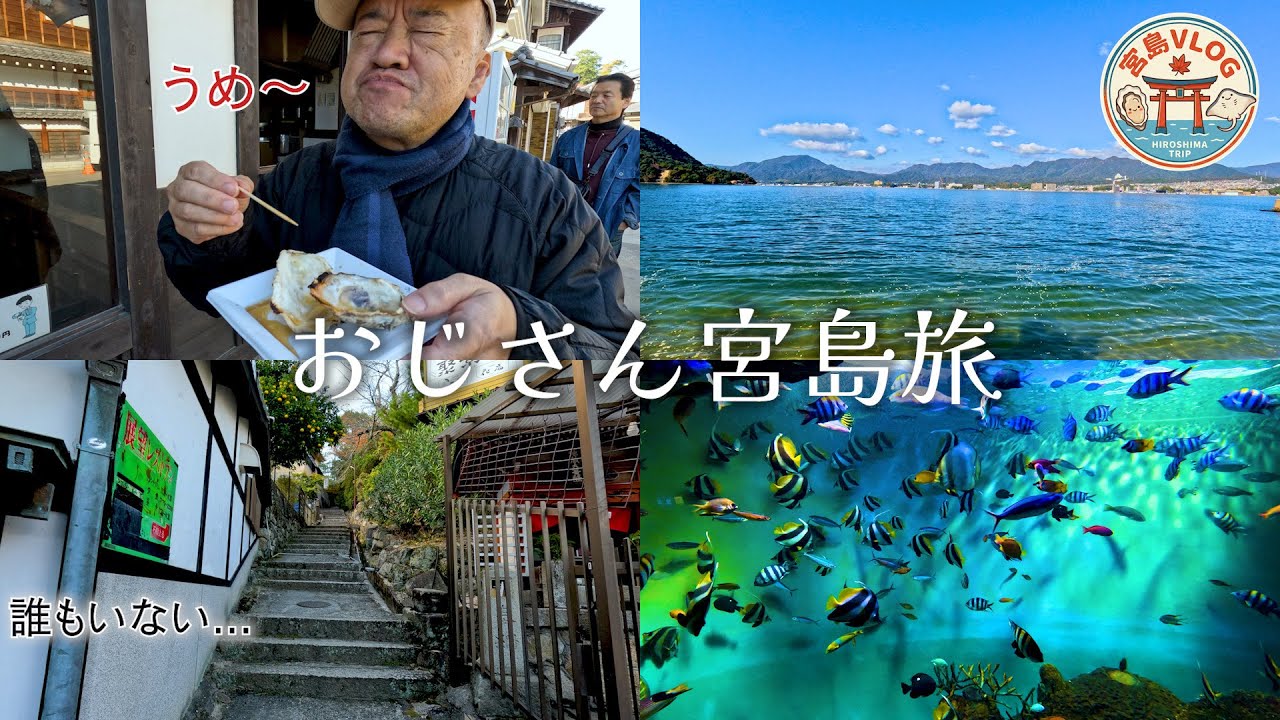 【広島・宮島Vlog】10年ぶりの宮島へ 絶品焼き牡蠣と水族館で癒やされる！大人のリフレッシュ旅 人混みを抜け出して、裏路地散歩と魚に触れる