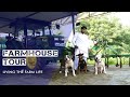 Farmhouse Tour | Living The Farm Life