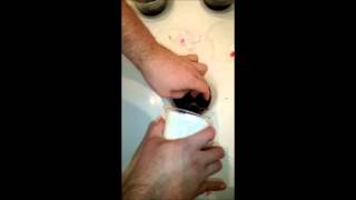 Packing 10x Female Tarantulas In Under 4 Minutes