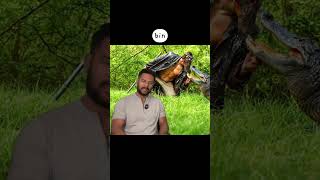 What does Joseph think of Gator Face? #throwback #alligatorattack #luxuryaccessory #gynomastia @fishjellyfilmreviews