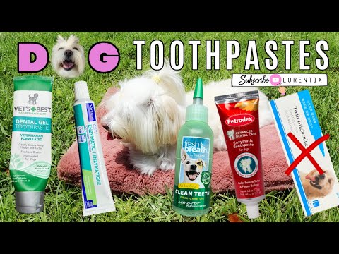 वीडियो: कुत्तों के लिए एंजाइमैटिक टूथपेस्ट
