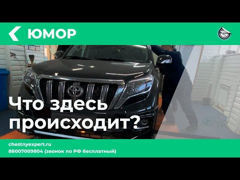 Немного будней наших экспертов. Как думаете, что происходит на видео? Пишите в комментариях? 👇
