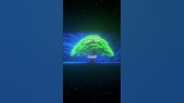 سورة النور|35-36|القارئ:#محمد_اللحيدان #قران #quran #راحة_نفسية #قران_كريم#تلاوة_هادئة ##تلاوة_خاشعة