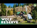 Wolf Habitat Viewing - Natural Exhibit - Planet Zoo Speedbuild - Yosemite