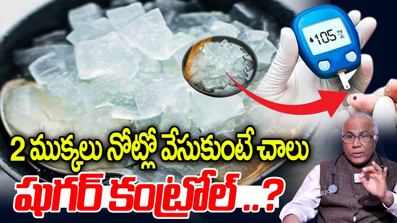 2 ముక్కలు నోట్లో వేసుకుంటే చాలు షుగర్ కంట్రోల్?: Control Diabetes Naturally With Aloe Vera