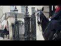 Londoninsider25 is live