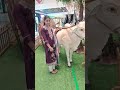 #cute#shortvideo#love
