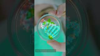 Learn with Root Words (BIO) - BIOGRAPHY, BIODEGRADABLE - Increase Your Vocabulary FAST! #shorts Net Worth