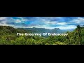 Video Capsule And The Greening Of Gastrointestinal Endoscopy