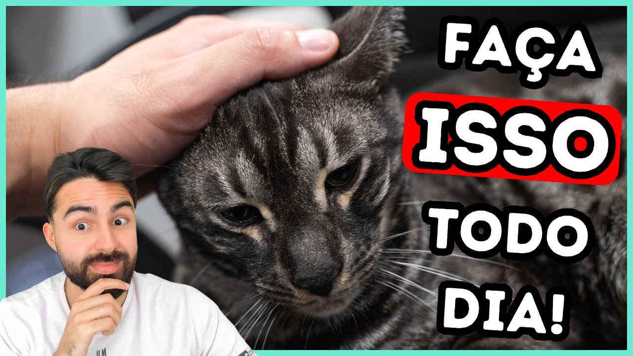 Faça ISSO e Você Vai Ganhar a CONFIANÇA do Seu Gato Para SEMPRE!