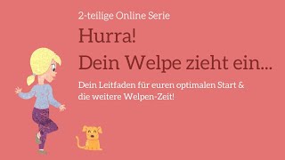 Hurra! Dein Welpe zieht ein... Dein Leitfaden für euren optimalen Start & die weitere Welpen-Zeit!