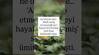 Nasip! #allah #allahuakbar #fypシ #dua #dualar #edit #amin #kuran #editing #kuranıkerim #ayet #cuma