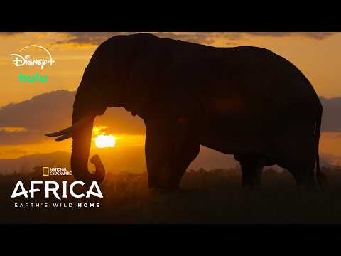 Elephant, Mammal, Wildlife. Text: NATIONAL AFRICA EARTH'S WILD HOME