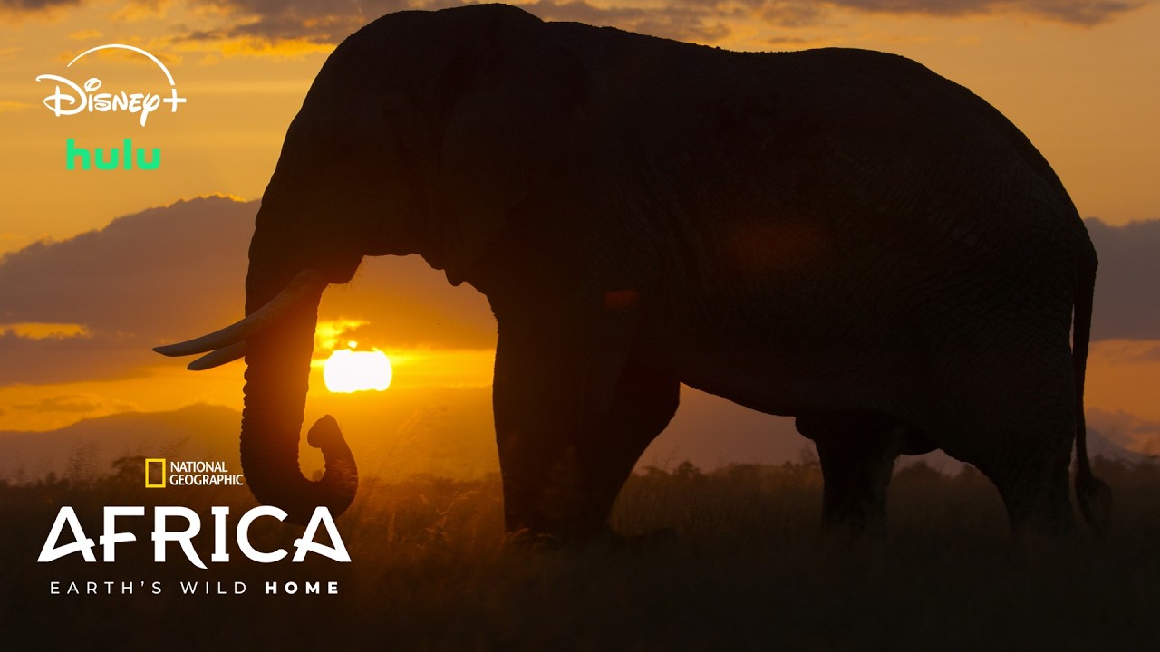 Africa Earth’s Wild Home: Revealing the Continent’s Extraordinary Wildlife