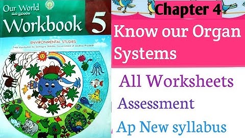 Know our Organ System workbook|| all Worksheets
