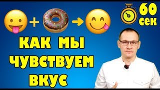 КАК МЫ ЧУВСТВУЕМ ВКУС? Тело человека за 60 секунд