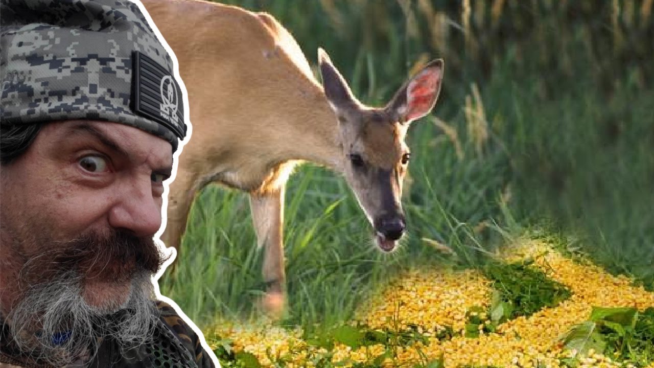 States Now Allowing Baiting For Deer In 2023 YouTube states-now-allowing-baiting-for-deer-in-2023-youtube