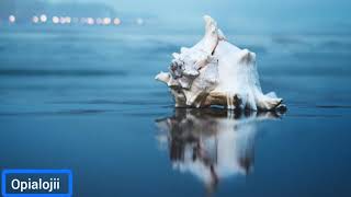 Opia Cover| Mavi Türkü (Cover) 🎐