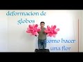 Deformacion de globos como hacer una flor # 93