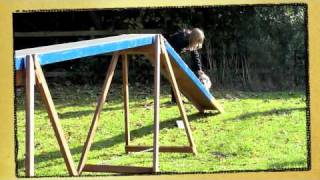Zita dog agility class  - Week 4