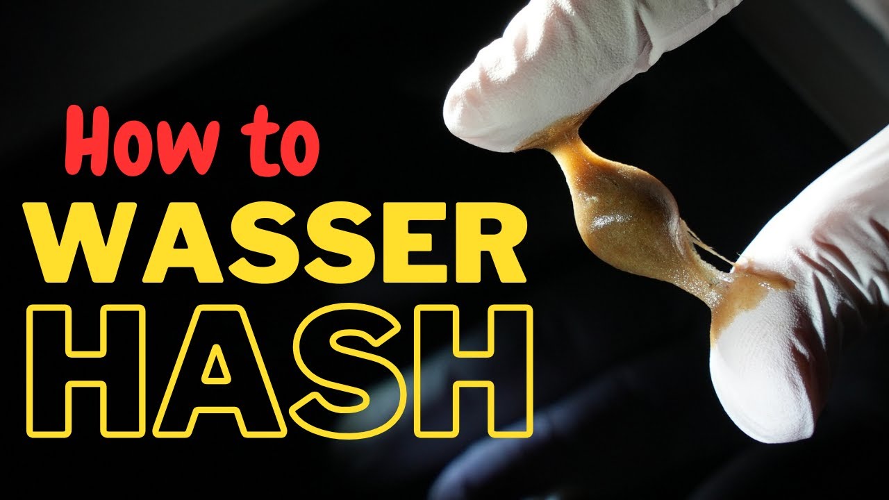 Premium Wasser Hash  - Wie man das Beste aus der Pflanze herausholt *