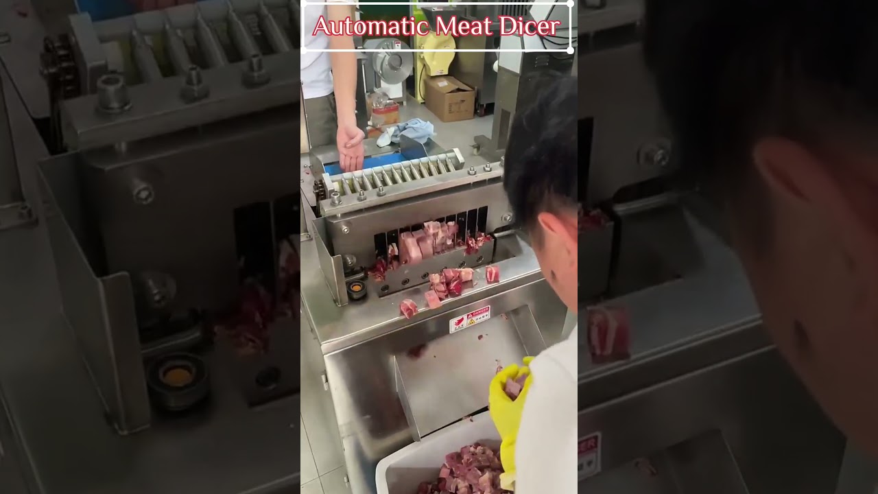 Automatic Meat Dicer 