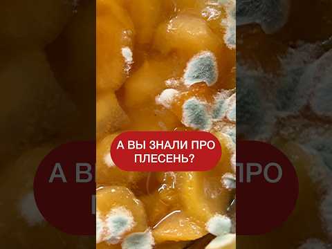 А вы знали это про плесень на продуктах?