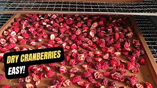 How to Dry Cranberries at Home (Dehydrator Method)