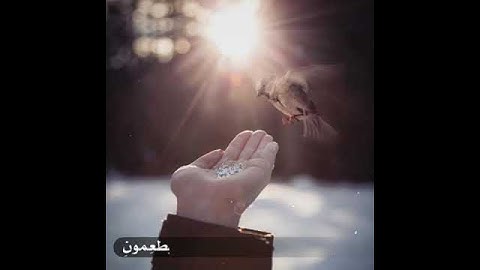 ان الله هو الرزاق ذو القوة المتين #تلاوة #ماهر_ المعيقلي