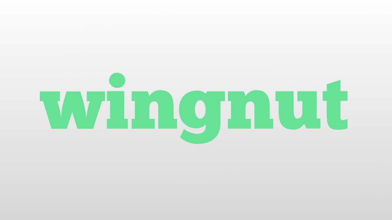 wingnut meaning and pronunciation YouTube