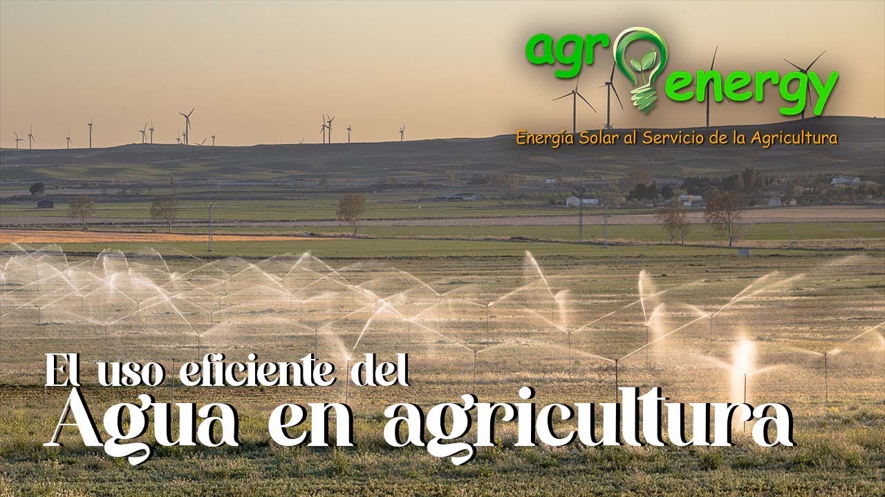 El uso eficiente del agua en agricultura - YouTube