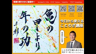亀の甲より年の功
