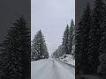 🌲Beautiful places in Norway❄️🗻
