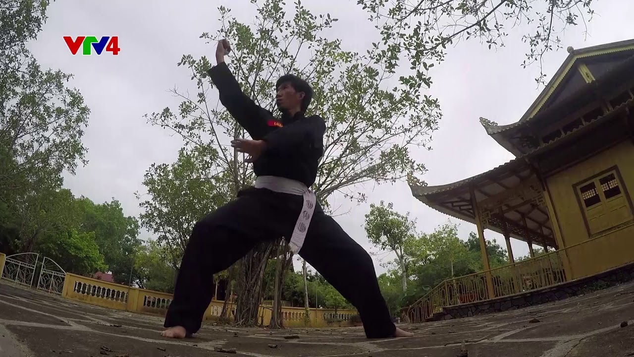 Long Hổ song hành quyền