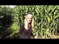 Bizi Farms Harvest Festival Corn Maze