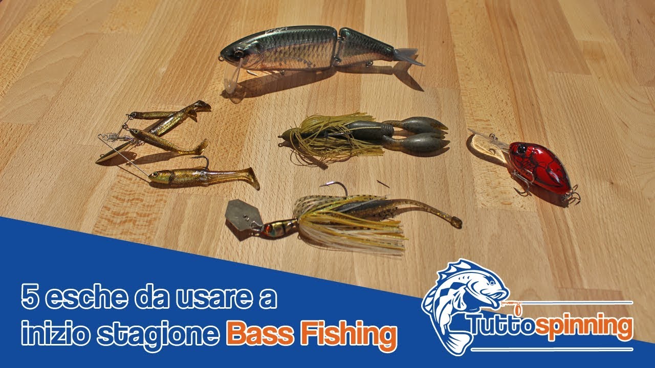 🔥 5 esche da usare a inizio stagione Bass Fishing