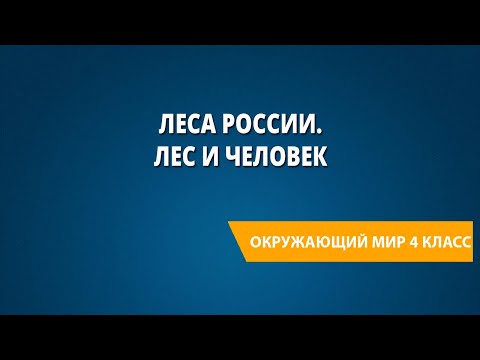 Леса России. Лес