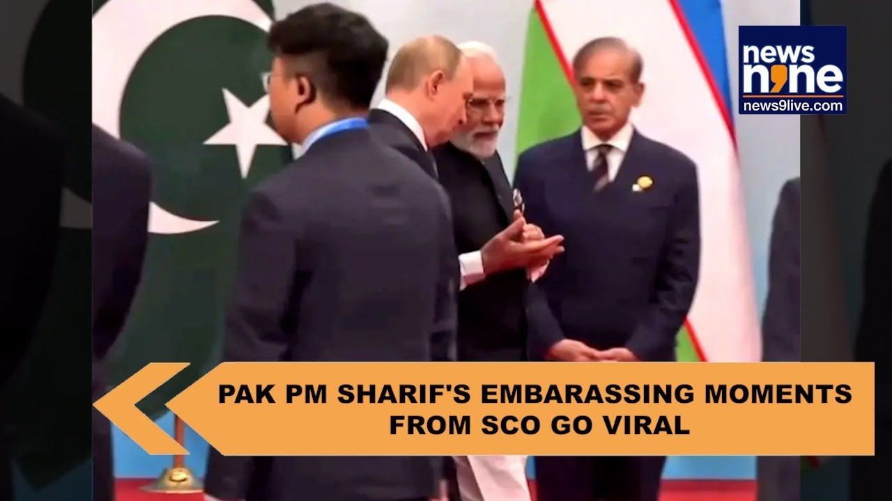 Pakistan PM Shehbaz Sharif snubbed? His moments from SCO turned into ...