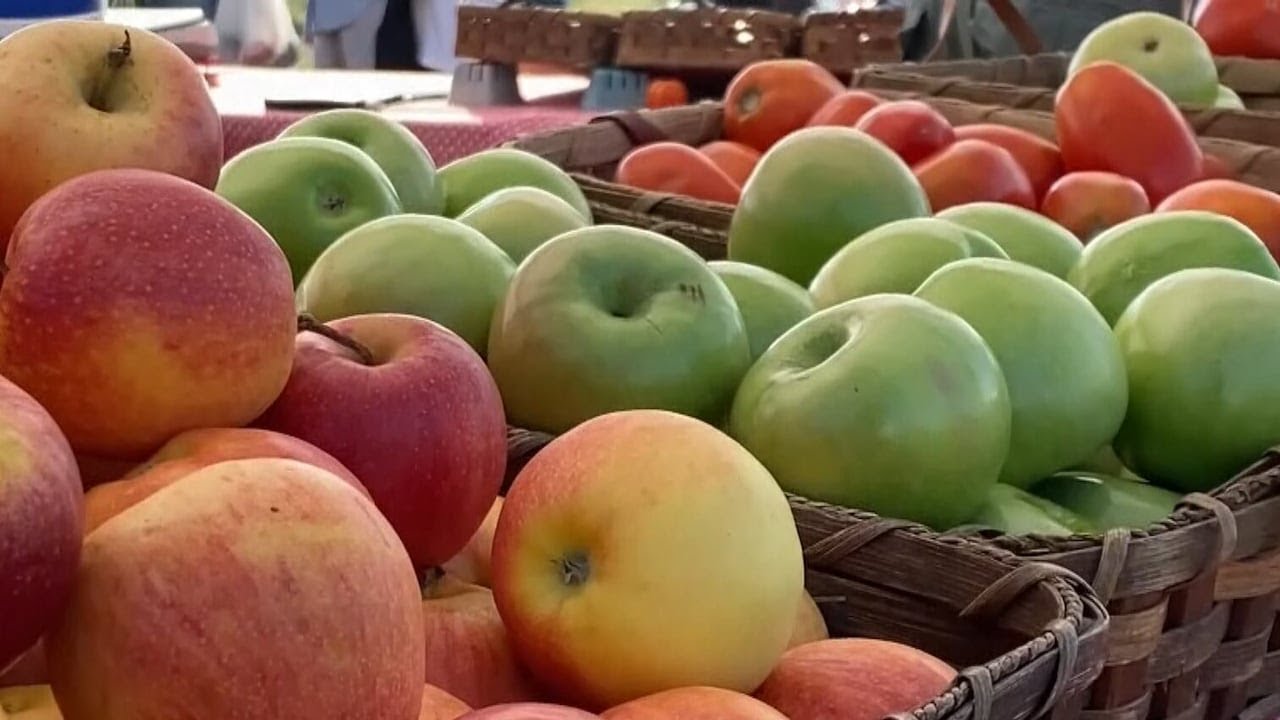 Rural farm business grant hopes to build a local food supply chain in Missouri and Kansas